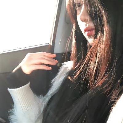 八犬传：东方八犬异闻